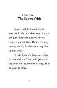 Thumbnail for The Secret Wish: Book 3