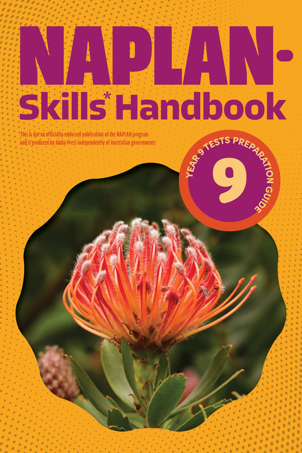 NAPLAN-Skills* Handbook bundle