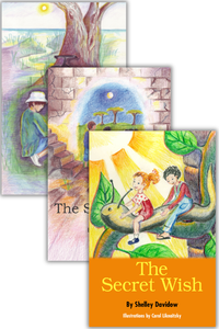 Thumbnail for The Secret Series: Shelley Davidow chapter book bundle
