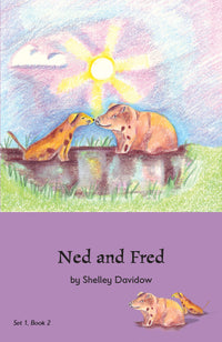 Thumbnail for Early Phonetic Readers by Shelley Davidow bundle