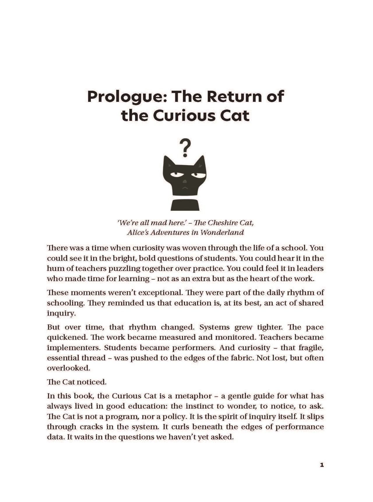 The Curious Cat and the Quest for School Improvement